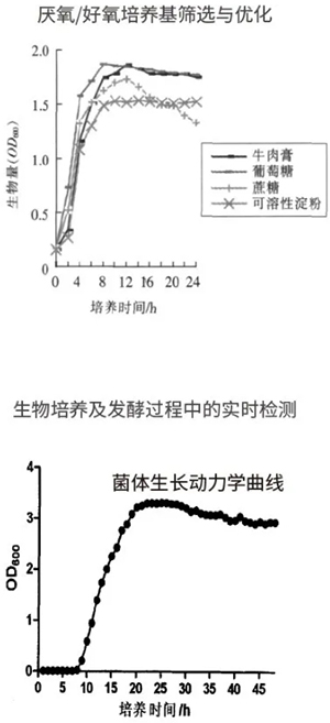 過程安全，結(jié)果精準